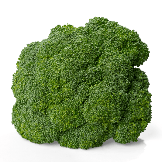 Hydra Broccoli Seeds